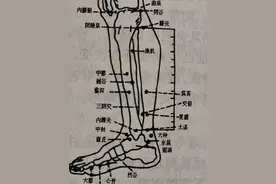 脾经地机穴新功能：主治痛风、足跟痛、胰腺炎、糖尿病，长见识了图片