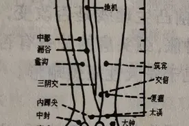 脾经地机穴新功能：主治痛风、足跟痛、胰腺炎、糖尿病，长见识了图片