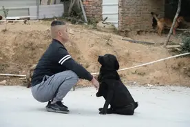 这条“坚强犬”！深山被夹半个月，伤腿腐烂断肢挣脱回家图片