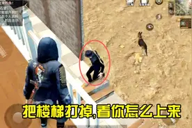 明日之后：37天，水果拆了楼梯再拆家，却被主人用这种方法教训