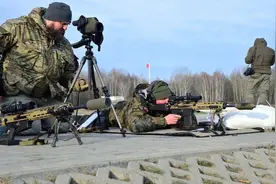 两款新枪各显神通，轻武器接轨北约，波兰陷入“甜蜜的烦恼”图片