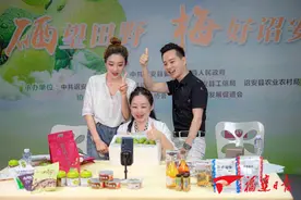 诏安县领导直播带货 助推青梅产业线上销图片