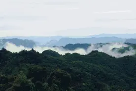 抬眸遇秋末，闲在蜀南竹海！图片