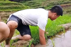 回味80年代：钓长鱼图片