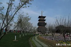 小镇美景之二：平湖樱花小镇，花的海洋，美的集聚地，让人难忘哦图片
