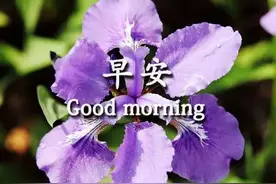 好好珍惜在一起的每一分钟，美好的回忆应该留给快乐和欢笑，早安图片