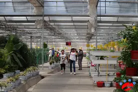 临泽融媒：电视剧《一个都不能少》圆满收官 开启临泽乡村旅游发展新篇章图片