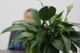 “在缅北，我们的命根本不值钱” 女孩亲诉偷渡缅北做诈骗的恐怖经历……图片
