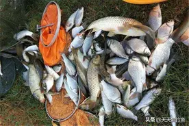 钓鱼技巧：解决子线缠线打结的妙招，提升垂钓效率图片