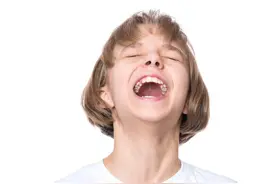 身体防御属性很低，为何野生动物却很少攻击人类？图片