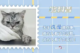 「够科普」多久洗一次澡合适？这些洗澡冷知识南方人看了沉默北方人看了流泪图片