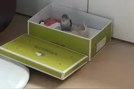 牡丹鹦鹉图集图片