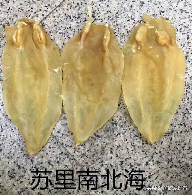 红鱼胶为什么这么便宜 红鱼胶是很差的鱼胶吗