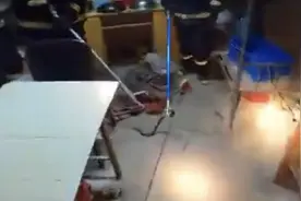 浙江一工厂惊现五步蛇！为什么被称为“烂肉王”？被咬了怎么办？图片