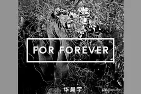 华晨宇《For Forever》：我们的情绪茂盛倔强，激情盛开勇敢绽放图片
