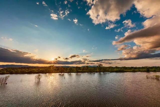 如何泡发干鱼皮 2026年怎么泡发干鱼皮