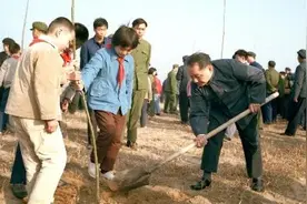 百年瞬间丨中国植树节图片