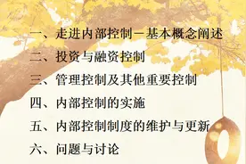 为什么德勤事务所居首位，看看德勤的内部制定的内控流程分析图片