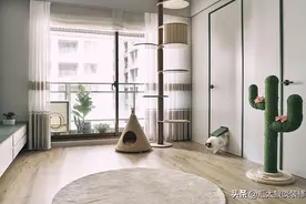 一人一猫各得其乐，这个单身阿姨的家太治愈了，以后我也这么装图片