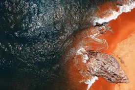 王建的林和许家的印（下）图片