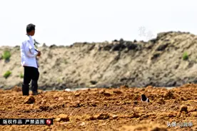 “豪横”的8颗鸟蛋让2个多亿的国家工程为它让路，如今小鸟长这样图片