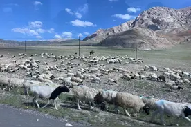 新疆游记第十一天图片