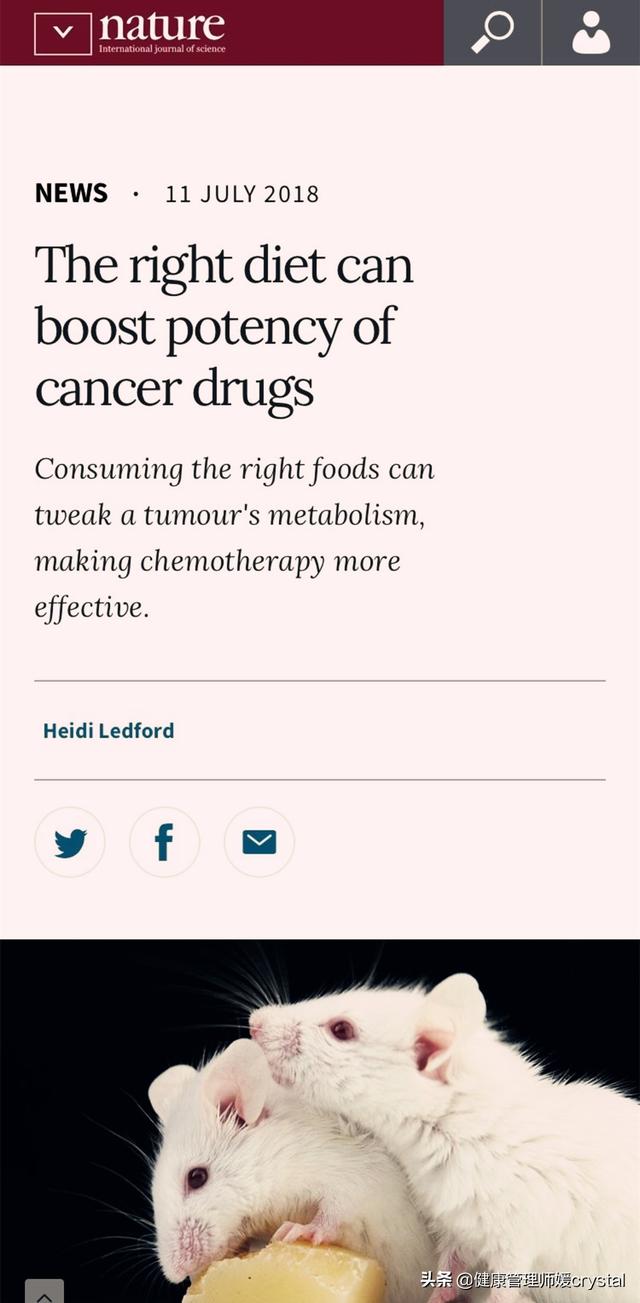 孩子和成人蛋白氨基酸需求一样？营养师：被忽略的1种，促进发育