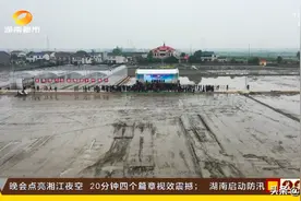 种田不下地？湖南首个无人农场亮相图片