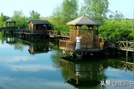《九妹》——首届中国乡村文化产业创新发展大会盛典精彩节目赏析图片