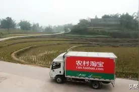 你只知道菜鸟，那你知道它的同伴溪鸟吗？图片