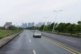滨江南路将变身“樱花大道”！绿化移植再开听证会 代表建议行道树不能影响行车视线图片