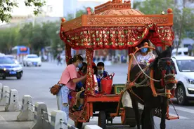 慢节奏看风景！“拉风”骡子车队向库木塔格沙漠前进图片