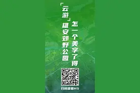 H5丨“云游”雄安郊野公园，怎一个美字了得！图片