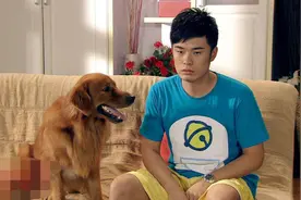 陈赫为何背叛许婧选择张子萱？郑恺一句话透露实情，网友：真相了图片