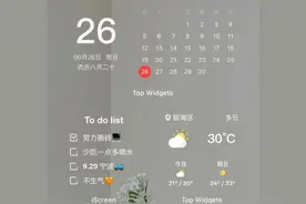 这是我见过给iPhone换主题，最方便的APP图片