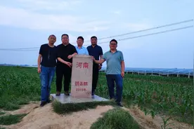 冀鲁豫三省界碑记图片