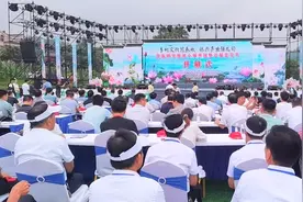 精彩绝伦！安徽省舒城县乡村振兴论坛暨春秋乡首届莲花节活动成功举办图片