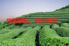 中国茶食VS日本茶食图片
