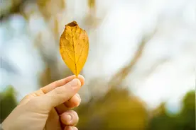 人无证 车无牌 头无盔 ​忻州一男子骑摩托殒命限高架 | 一盔一带图片