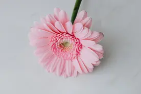 面对男人的冷漠，死缠烂打只是下策图片