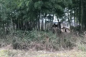 湖南平江山歌《十把扇子》图片