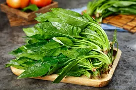 买菠菜，要区分“圆叶”和“尖叶”，很多人不懂，买错发涩不好吃图片