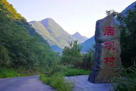 「全面建成小康社会“百城千县万村调研行”」重庆市南川区庙坝村“护山养山”来致富图片