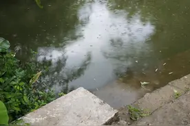 村里有10亩死水塘水深1.3米，可以投资养殖吗？请大家帮助参考下图片