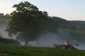 农村俗语“坟前枯树须迁坟，坟上有洞须留神”，为啥？有道理吗？图片