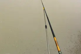 台州河道螃蟹闹窝，钓鱼人：烦不胜烦，网友：这可是美食图片