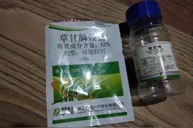 打过草甘膦的菜园地，能再种菜吗？有什么不良影响吗？图片