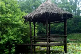 重庆涪陵避暑胜地，环境优美底蕴丰厚，灵猴谷的猴子令人又爱又恨图片