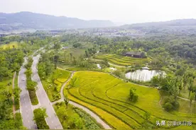山青水秀林美田良湖净草绿——这里是重庆广阳岛图片