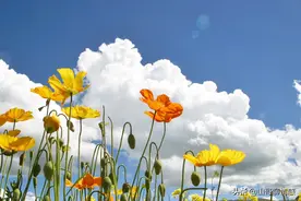 快奔五了，“放过”自己，好好活着图片